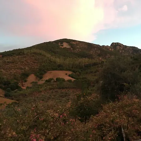 S'orgiola Alloggio per agriturismo *